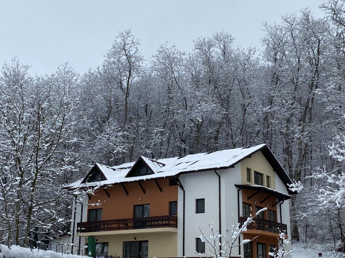 Pensiunea Lui Calin Ocnele Mari Exterior foto