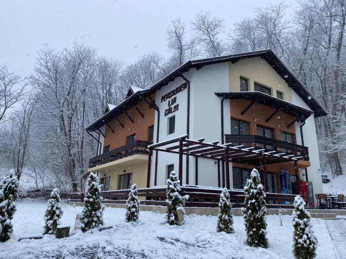 Pensiunea Lui Calin Ocnele Mari Exterior foto